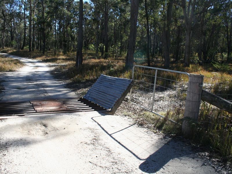 538 Carrot Farm Road, Deepwater NSW 2371