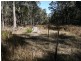 538 Carrot Farm Road, Deepwater NSW 2371