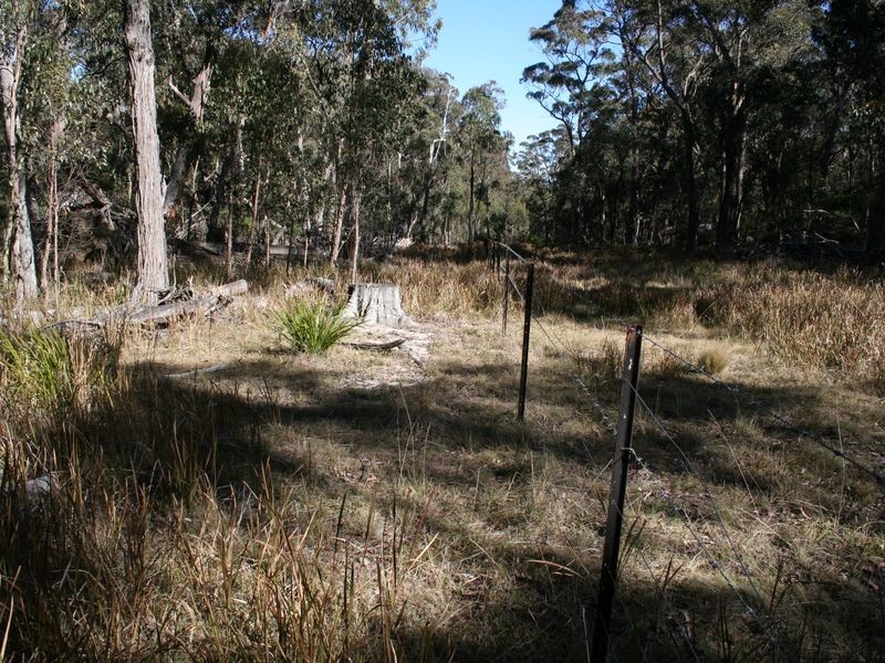 538 Carrot Farm Road, Deepwater NSW 2371