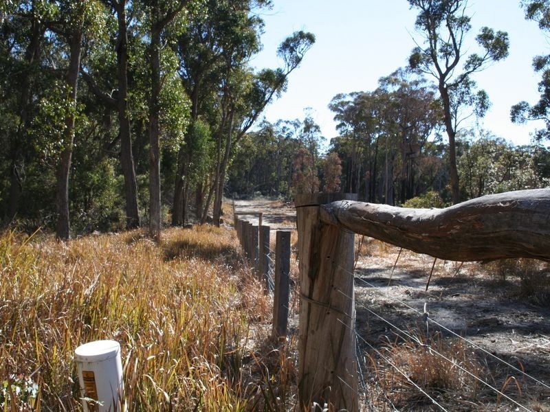 538 Carrot Farm Road, Deepwater NSW 2371