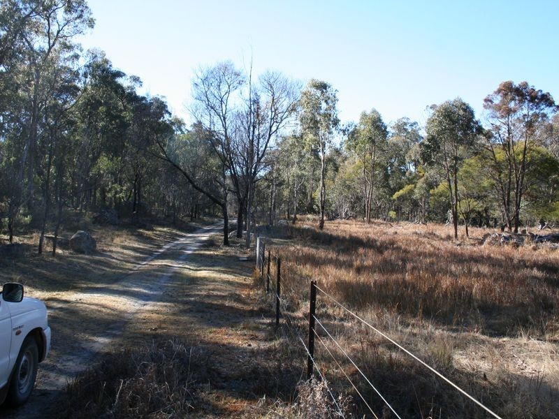 538 Carrot Farm Road, Deepwater NSW 2371