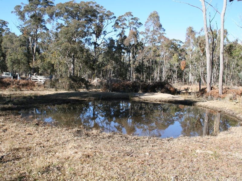 538 Carrot Farm Road, Deepwater NSW 2371