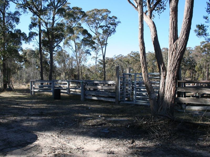 538 Carrot Farm Road, Deepwater NSW 2371