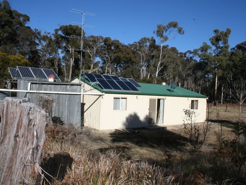 538 Carrot Farm Road, Deepwater NSW 2371