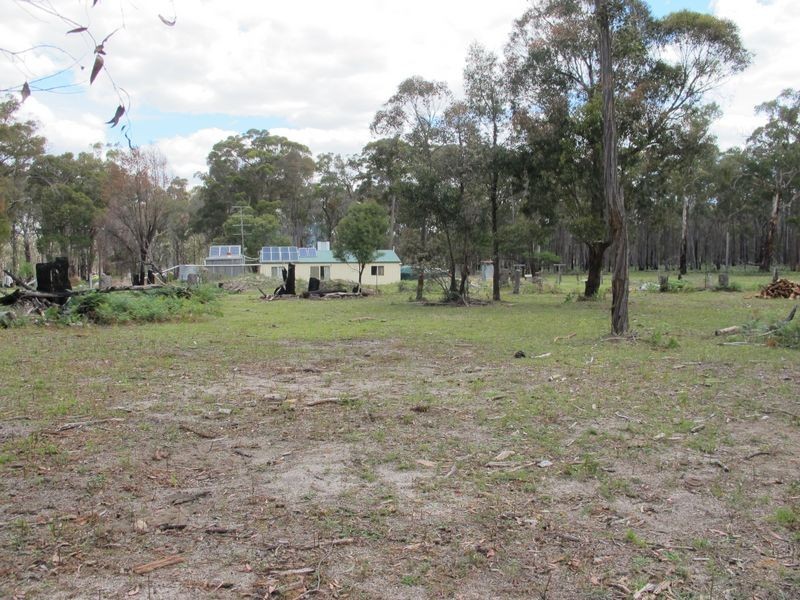 538 Carrot Farm Road, Deepwater NSW 2371