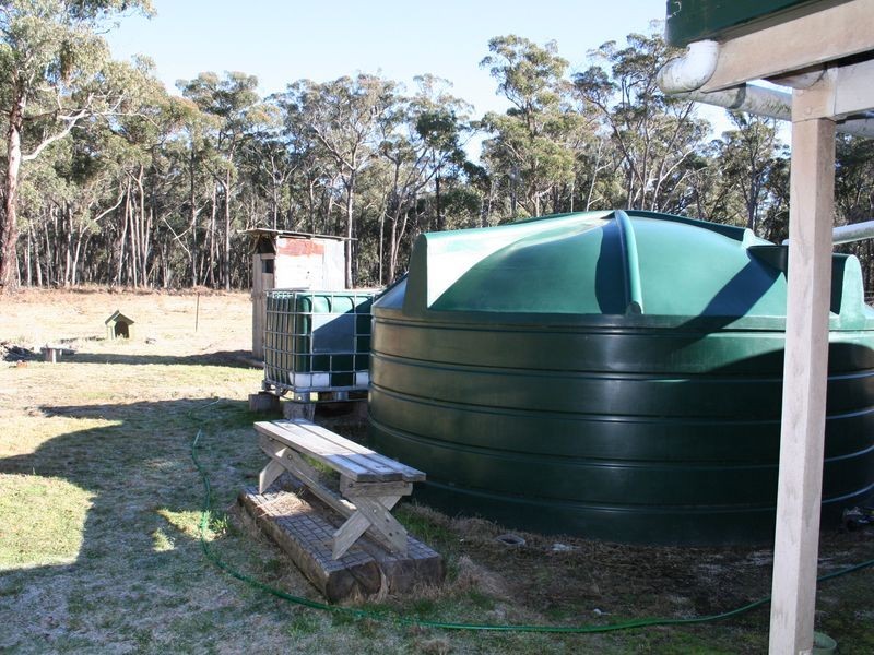 538 Carrot Farm Road, Deepwater NSW 2371