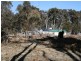 538 Carrot Farm Road, Deepwater NSW 2371