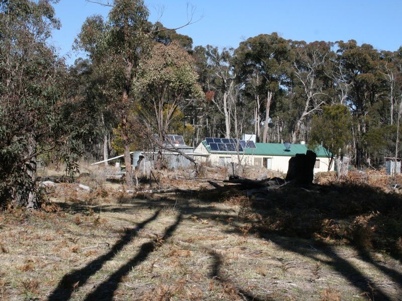 538 Carrot Farm Road, Deepwater NSW 2371