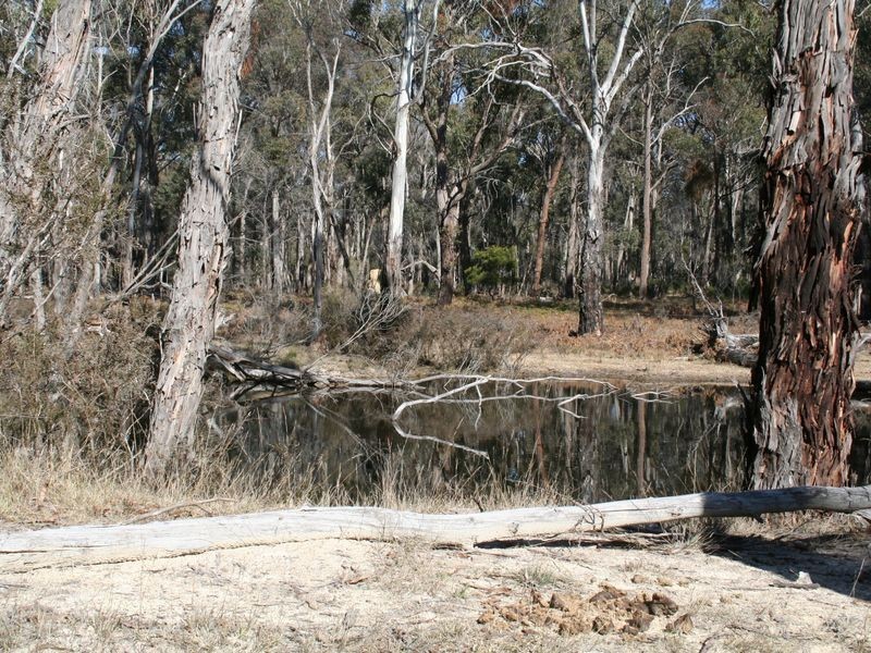 538 Carrot Farm Road, Deepwater NSW 2371