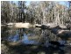 538 Carrot Farm Road, Deepwater NSW 2371
