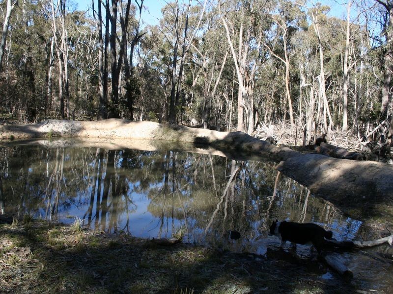 538 Carrot Farm Road, Deepwater NSW 2371