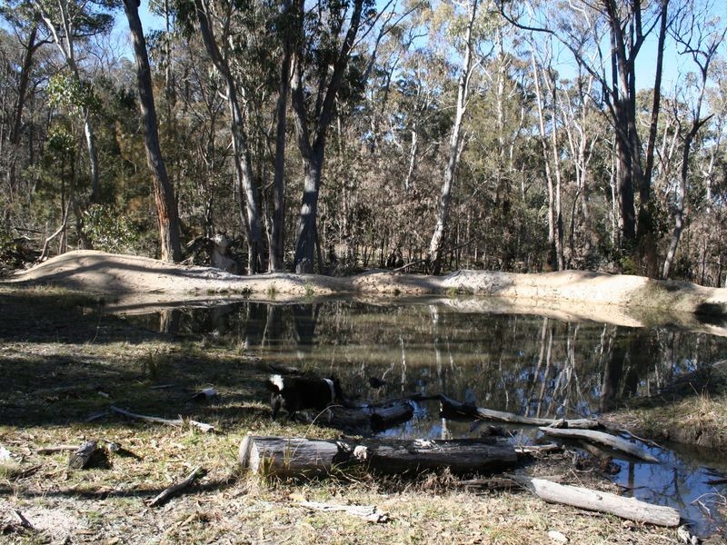 538 Carrot Farm Road, Deepwater NSW 2371