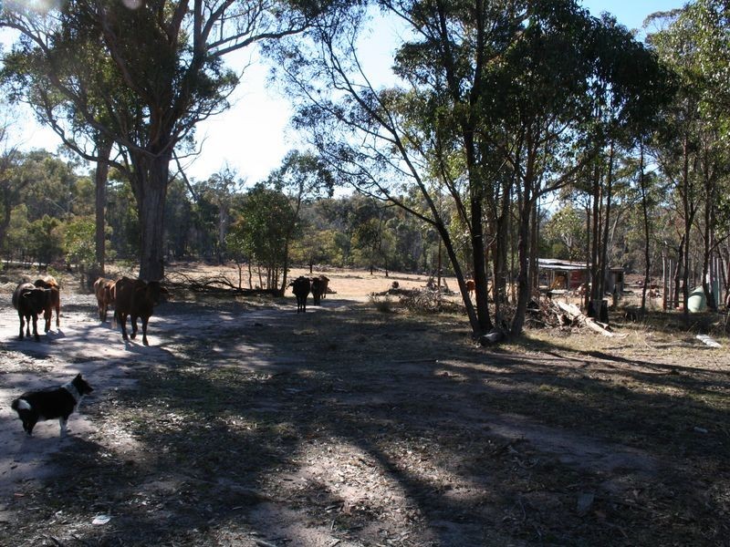 538 Carrot Farm Road, Deepwater NSW 2371