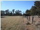538 Carrot Farm Road, Deepwater NSW 2371