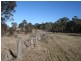 538 Carrot Farm Road, Deepwater NSW 2371