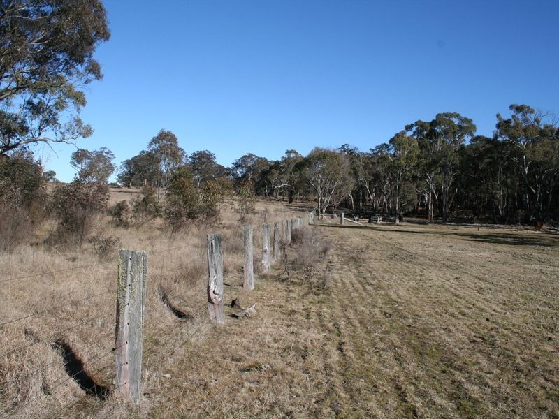 538 Carrot Farm Road, Deepwater NSW 2371