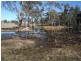 538 Carrot Farm Road, Deepwater NSW 2371