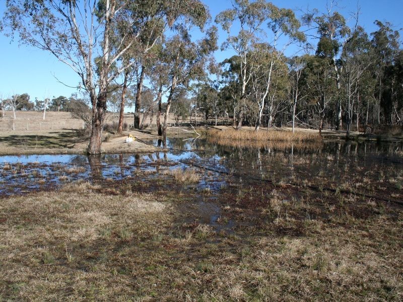 538 Carrot Farm Road, Deepwater NSW 2371