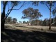 538 Carrot Farm Road, Deepwater NSW 2371