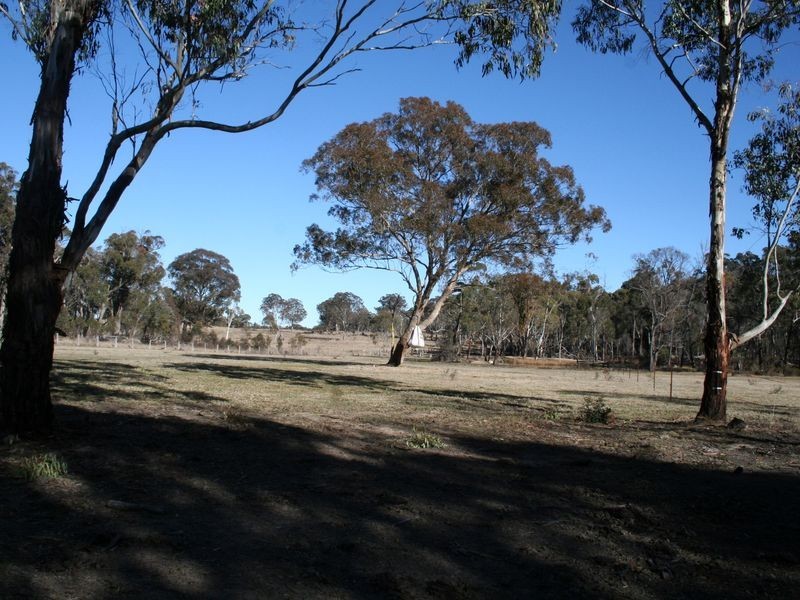 538 Carrot Farm Road, Deepwater NSW 2371