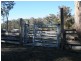 538 Carrot Farm Road, Deepwater NSW 2371