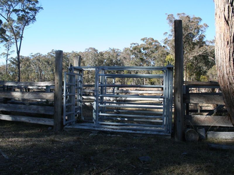 538 Carrot Farm Road, Deepwater NSW 2371