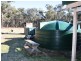 538 Carrot Farm Road, Deepwater NSW 2371