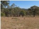 3/ 702965 Gulf Road, Emmaville NSW 2371