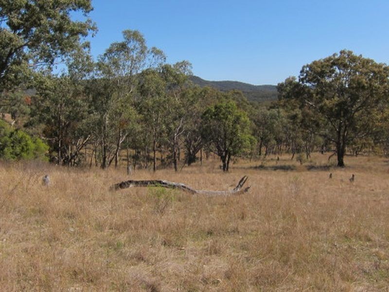 3/ 702965 Gulf Road, Emmaville NSW 2371