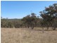 3/ 702965 Gulf Road, Emmaville NSW 2371