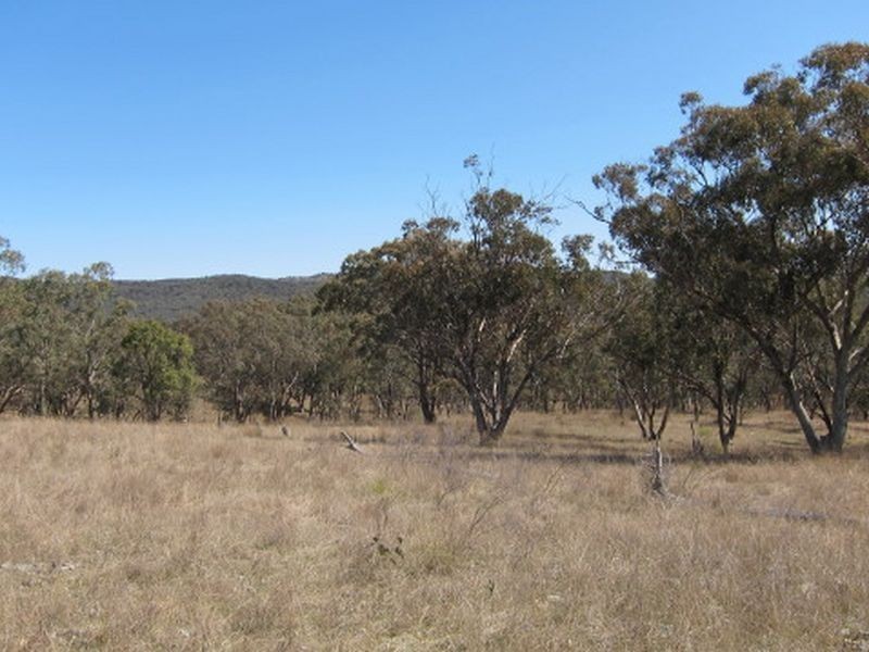3/ 702965 Gulf Road, Emmaville NSW 2371