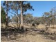 3/ 702965 Gulf Road, Emmaville NSW 2371