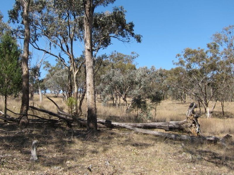 3/ 702965 Gulf Road, Emmaville NSW 2371