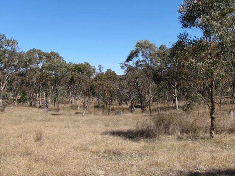 3/ 702965 Gulf Road, Emmaville NSW 2371