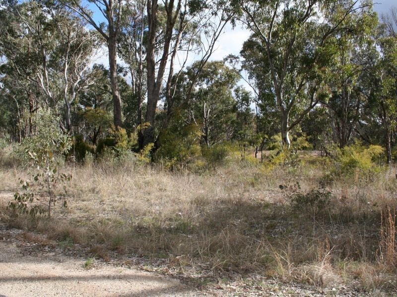 Strathbogie Road, Emmaville NSW 2371