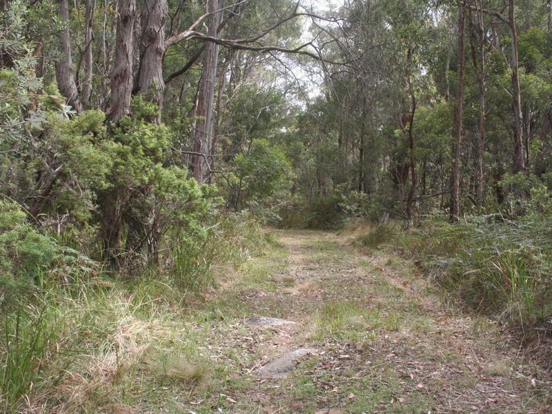 Lot9. DP86 Aqua Park Road, Mount Mitchell NSW 2365