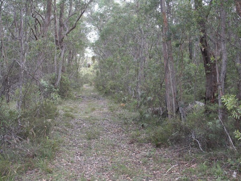 Lot9. DP86 Aqua Park Road, Mount Mitchell NSW 2365