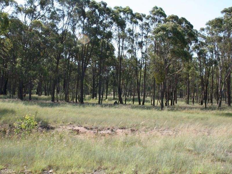 235/958698 Strathbogie Road, Emmaville NSW 2371