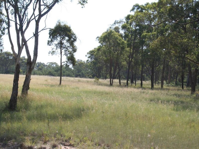 235/958698 Strathbogie Road, Emmaville NSW 2371