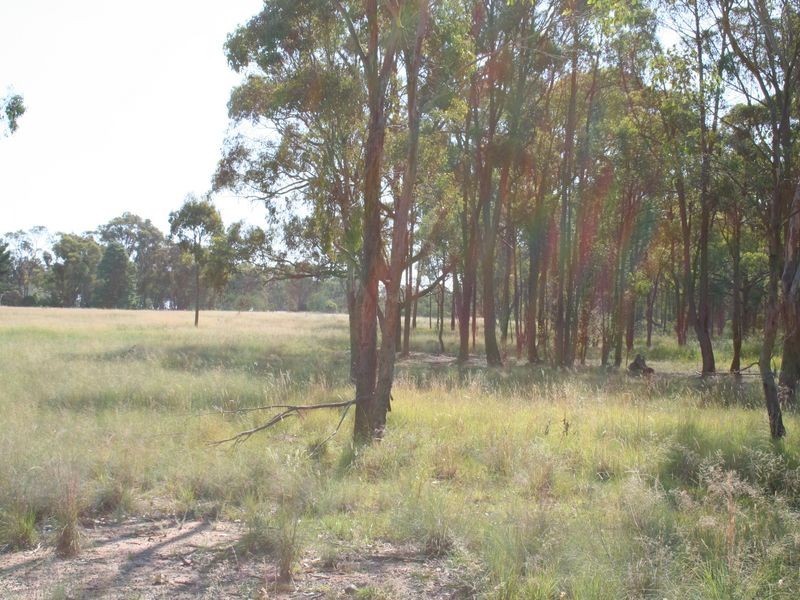 235/958698 Strathbogie Road, Emmaville NSW 2371