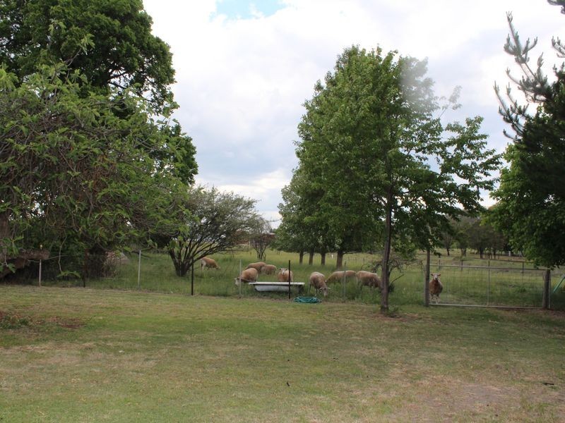 9769 New England Highway, Glen Innes NSW 2370