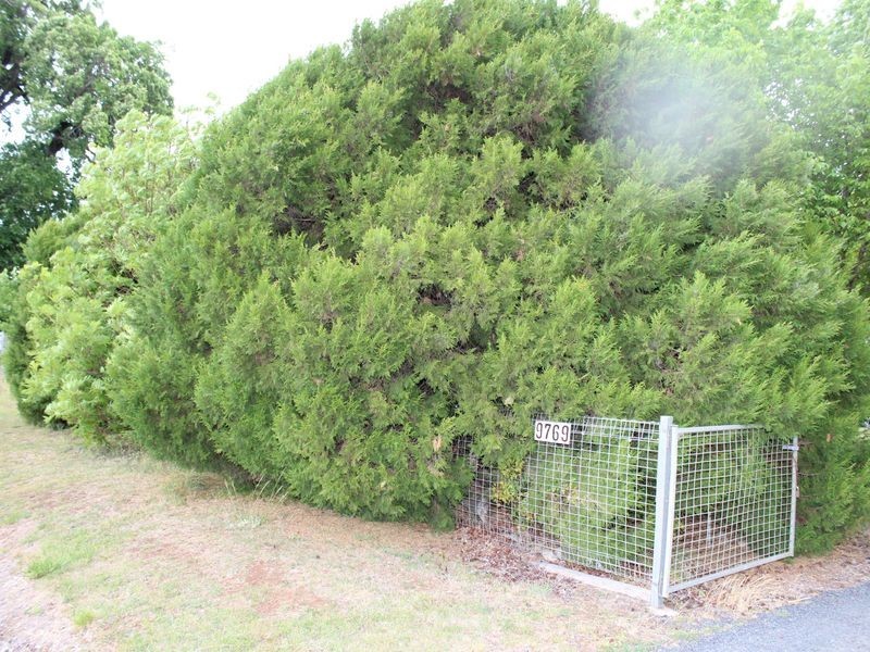 9769 New England Highway, Glen Innes NSW 2370