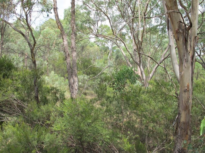 2293 Emmaville Street, Reddestone NSW 2370
