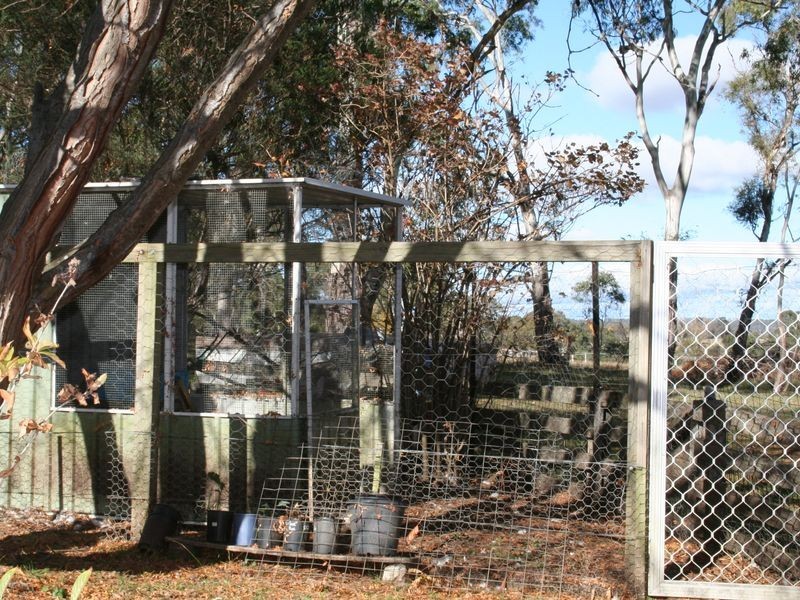 25 Hunter Street, Glen Innes NSW 2370