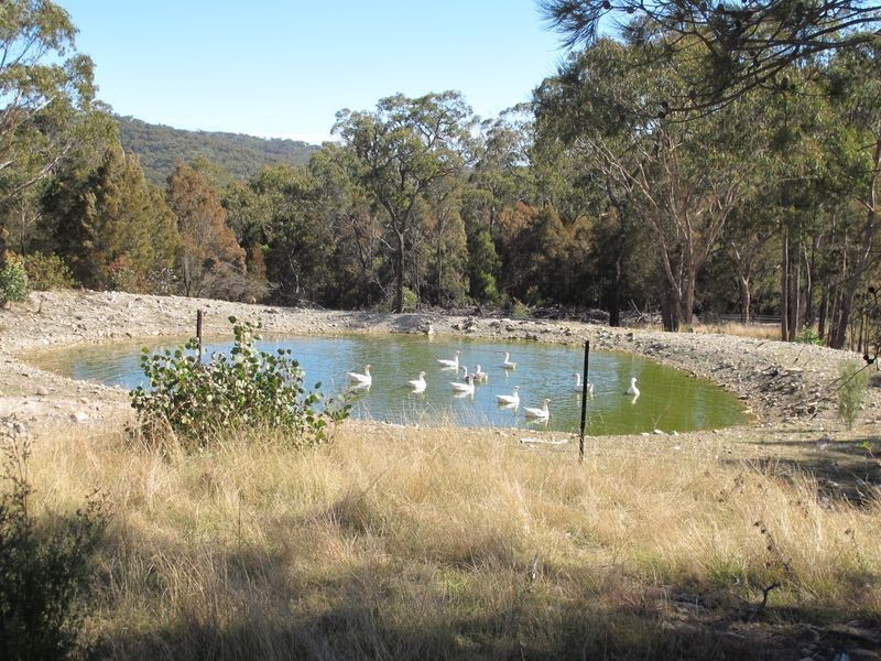 2285 Emmaville Road, Reddestone NSW 2370