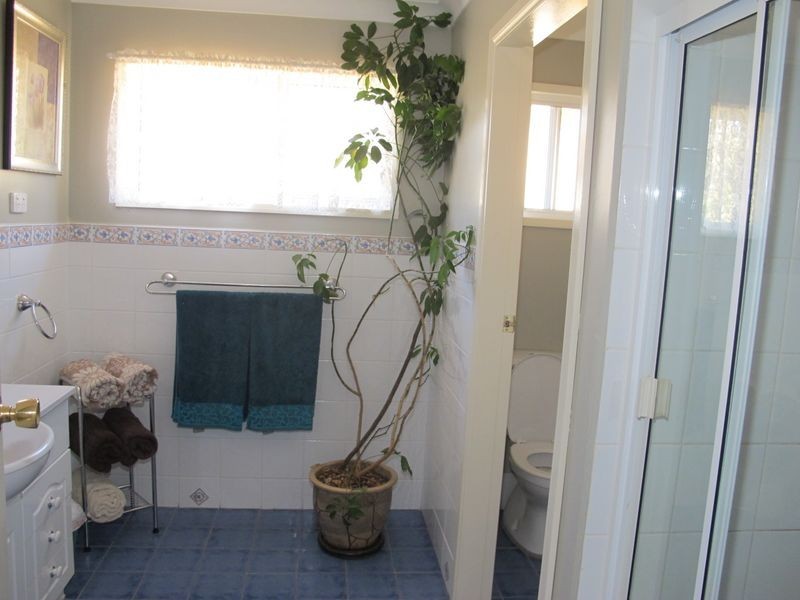 2285 Emmaville Road, Reddestone NSW 2370