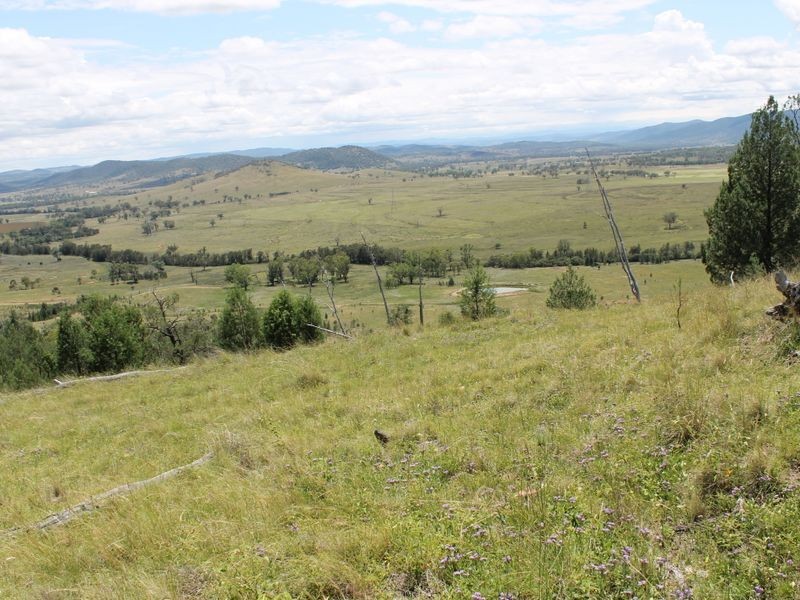 3894 Rocky Creek Road, Bonshaw NSW 2361