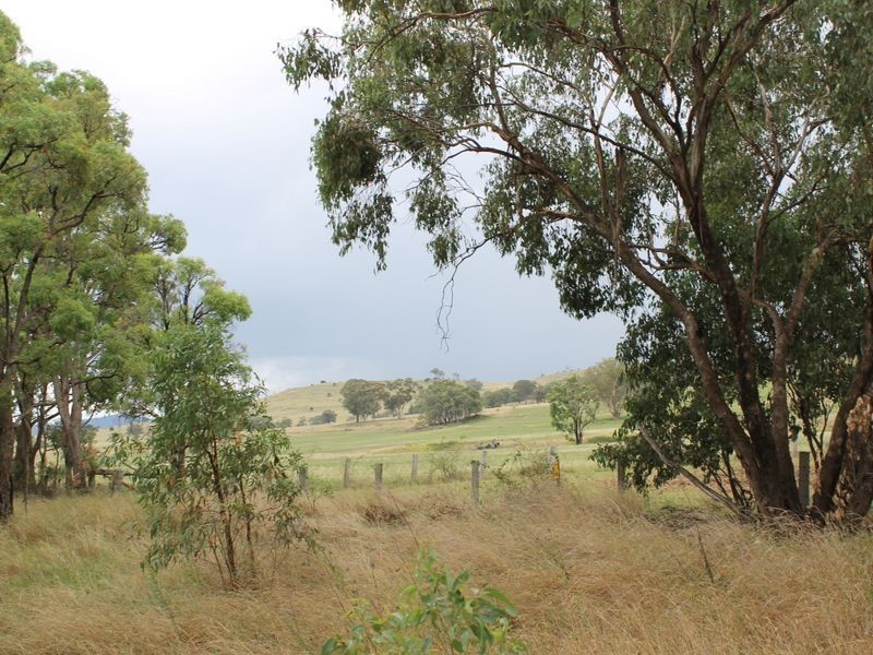 3894 Rocky Creek Road, Bonshaw NSW 2361