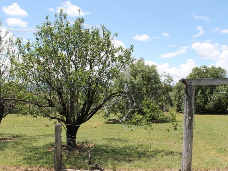 3894 Rocky Creek Road, Bonshaw NSW 2361