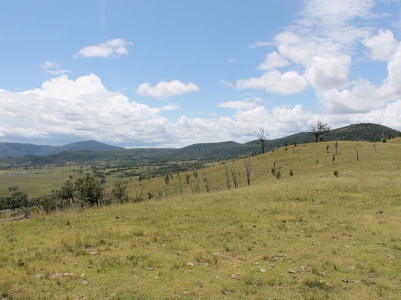 3894 Rocky Creek Road, Bonshaw NSW 2361